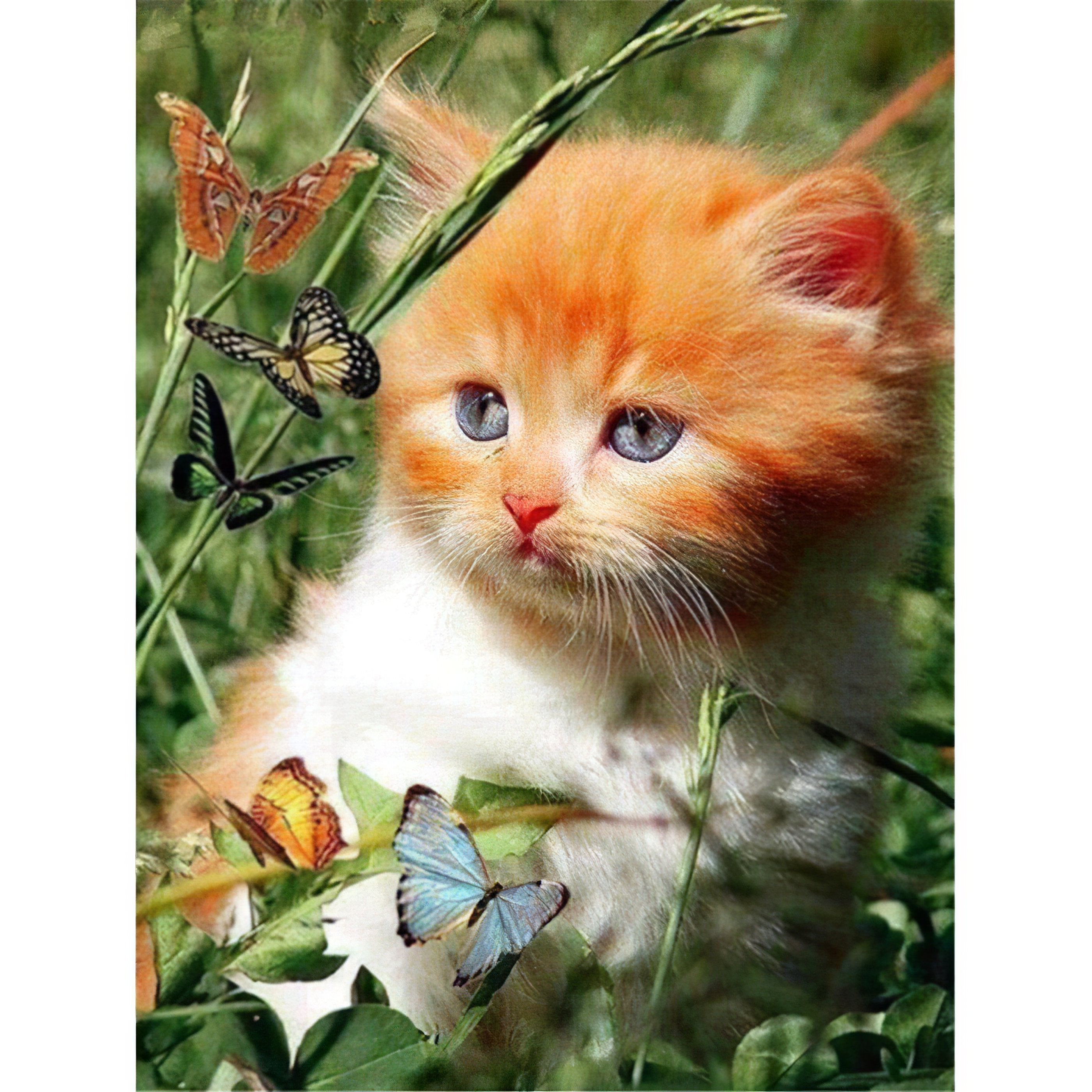 Diamond Painting - Katze und Schmetterling