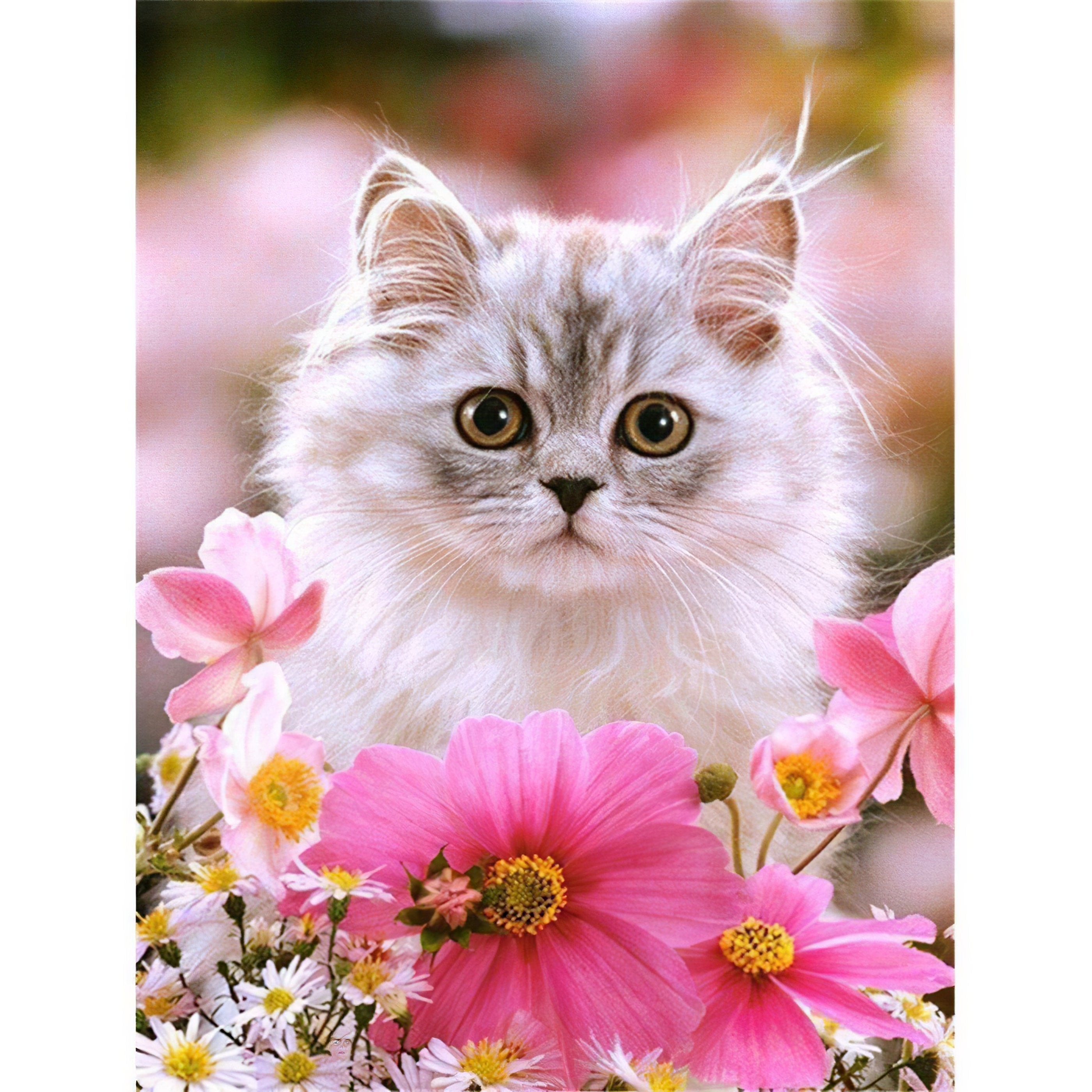 Diamond Painting - Katze mit Blumen