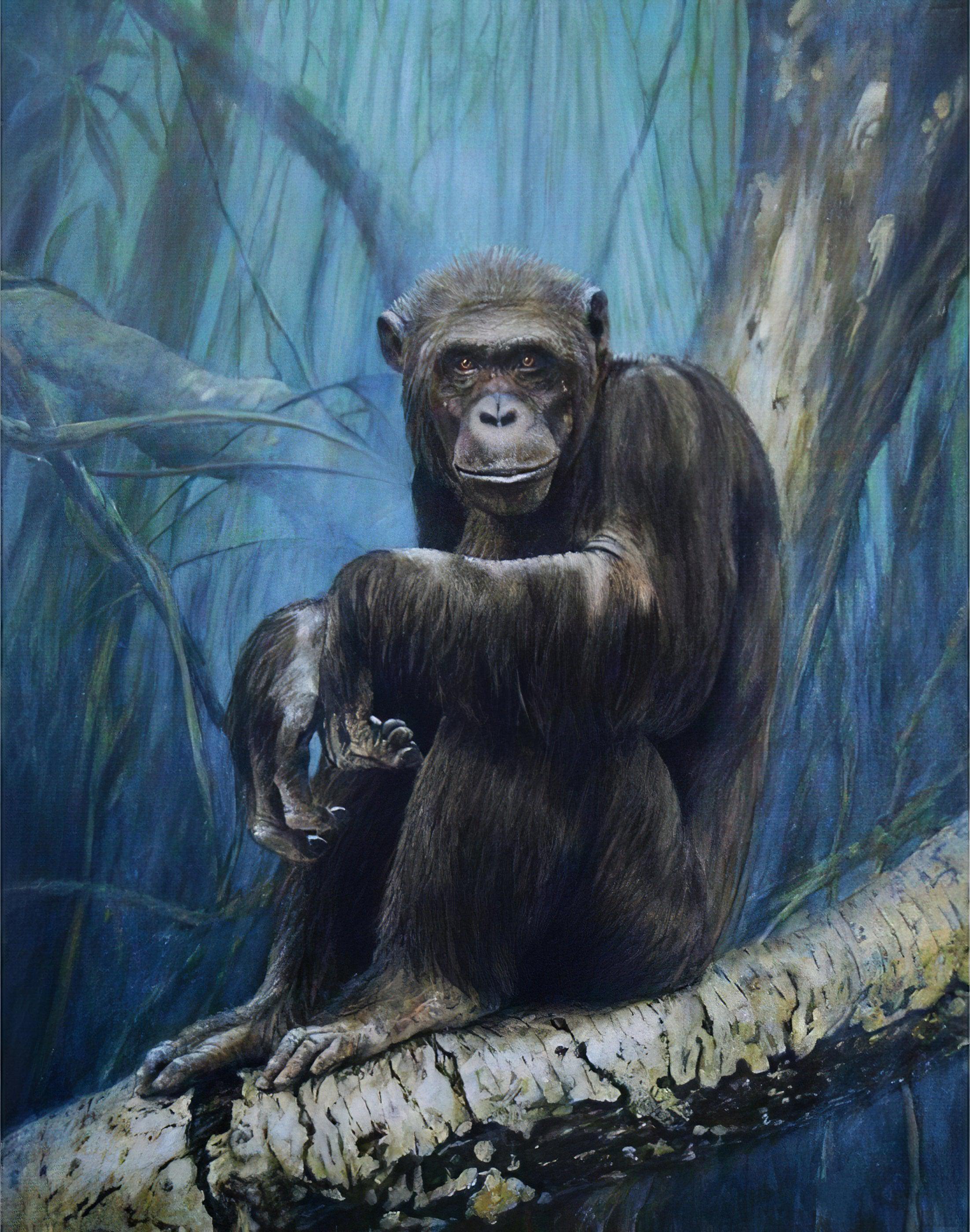 Diamond Painting - Schimpanse im Baum
