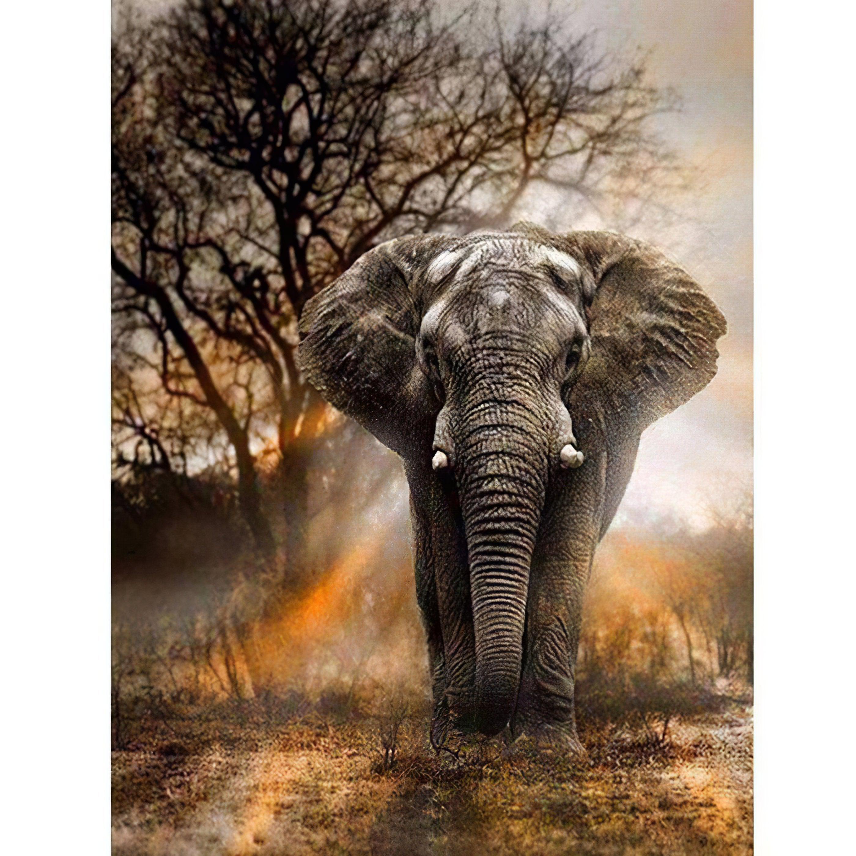 Diamond Painting - Wilder Elefant
