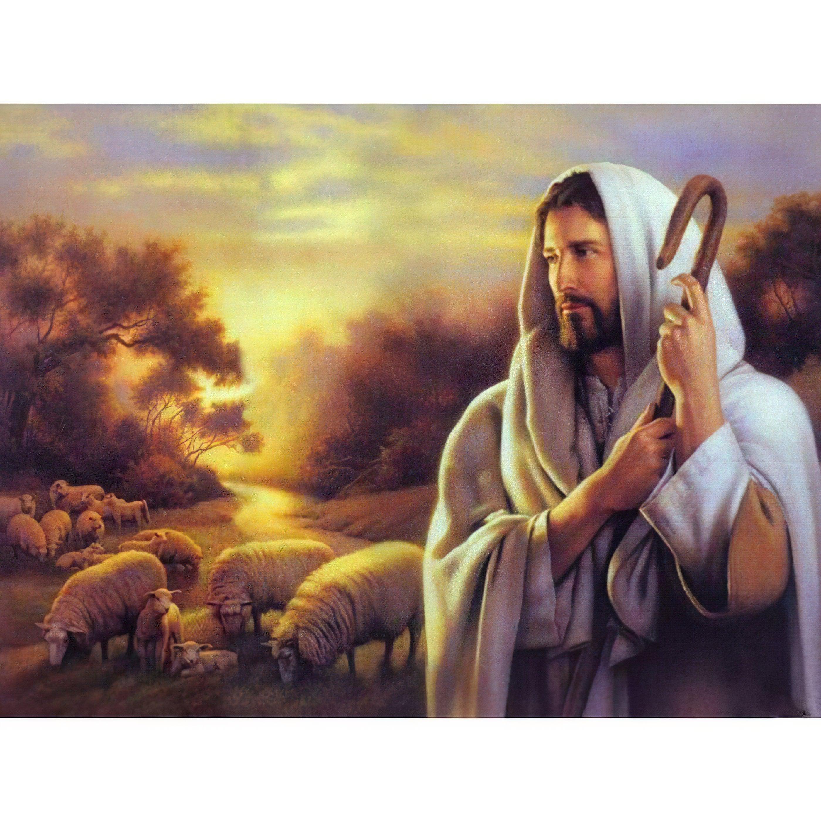 Diamond Painting - Jesus und Moutons
