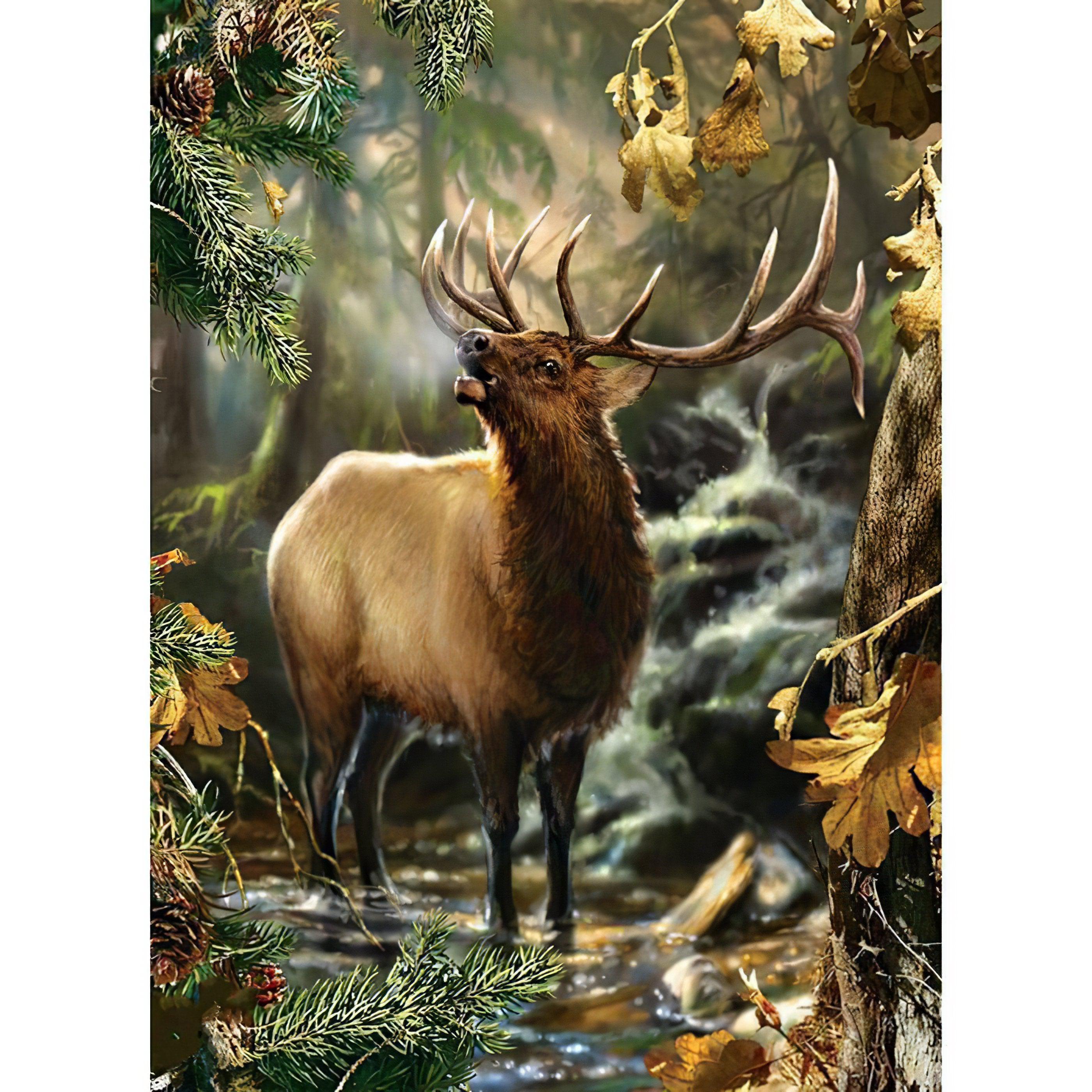 Diamond Painting - Wapiti