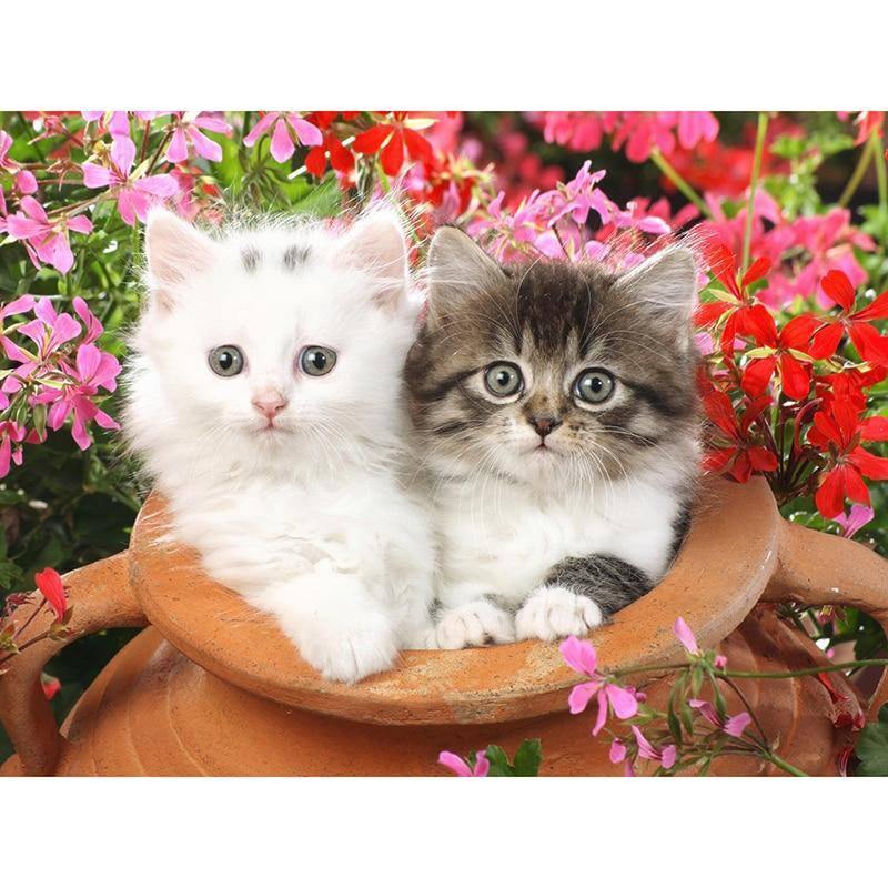 Diamond Painting - Zwei bezaubernde Katzen
